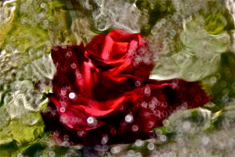 Illustration for article titled Shooting Gallery Challenge: Ice II